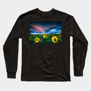 Sunflowers Long Sleeve T-Shirt